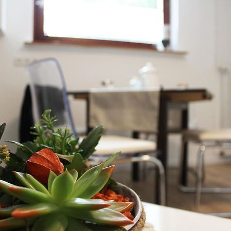 Ferienwohnung Landlust Wolfenbuettel Denkte 외부 사진